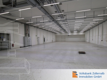 Flexibel aufteilbare Produktions-, Lager- und Büroflächen mit Laderampe und 4t Aufzug, 72458 Albstadt, Halle